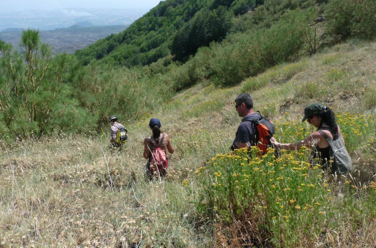 Vila Pachamama Nicolosi Exteriér fotografie