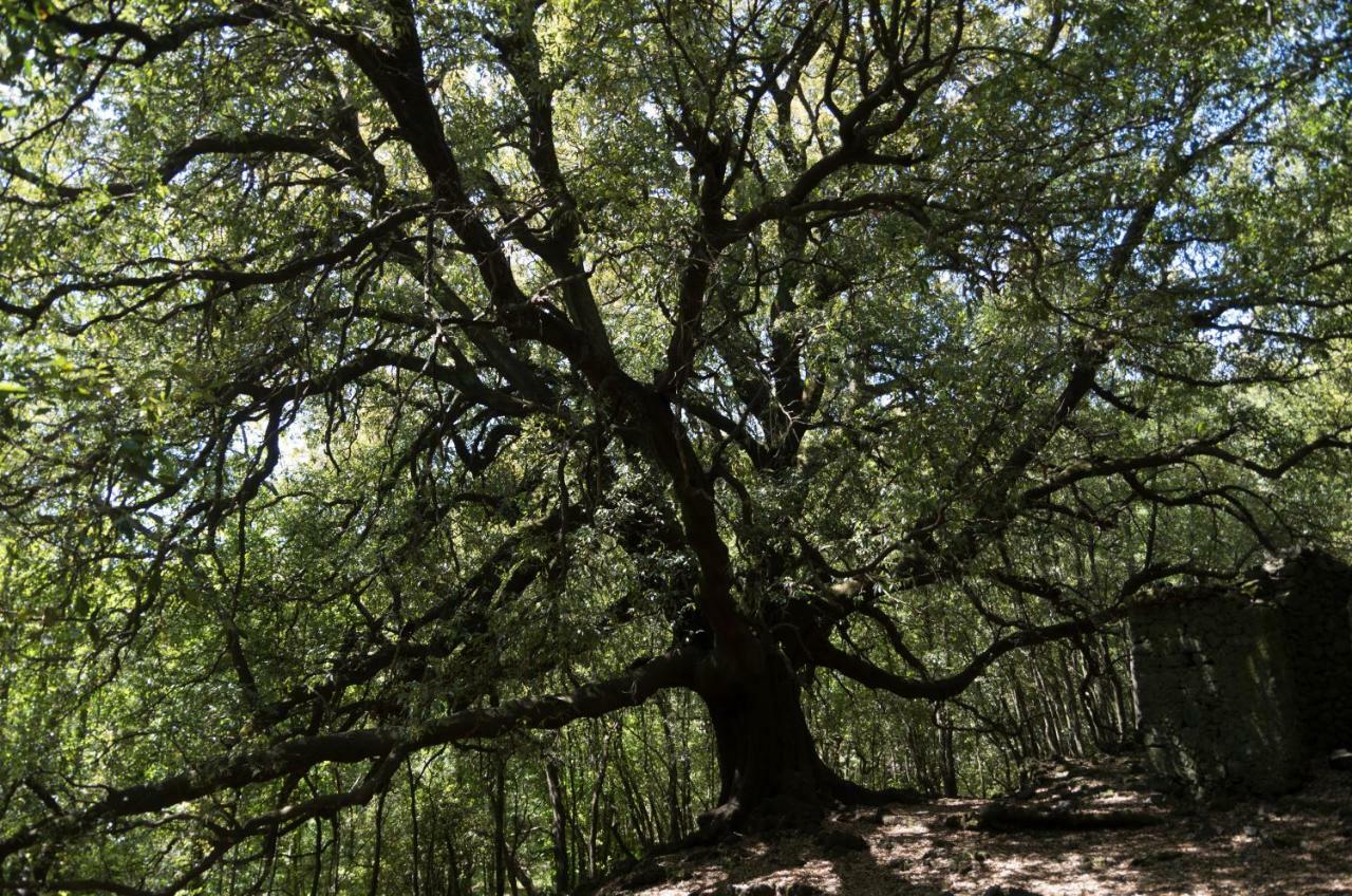 Vila Pachamama Nicolosi Exteriér fotografie